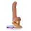 Picture of Vibrators  Mr. Perfect vibration (1057) v1