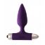 Picture of Vibrators Glory (1212) Spice it up violets