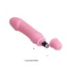 Picture of Vibrators Pretty love Stev (0206) v1