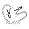 Изображение Цепочка для грудей Slave professional (1273)