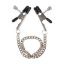Attēls Rotājums Fetish fantasy series (0528) Bullnose nipple clamps