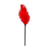Attēls Spalviņa Power escort red (0906) sarkana