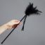 Attēls Spalviņa Feather (1287) 2