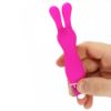 Изображение Вибратор Vibe Therapy (0206) Lapin