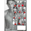 Picture of Calendar (1047) Real cocks 2027